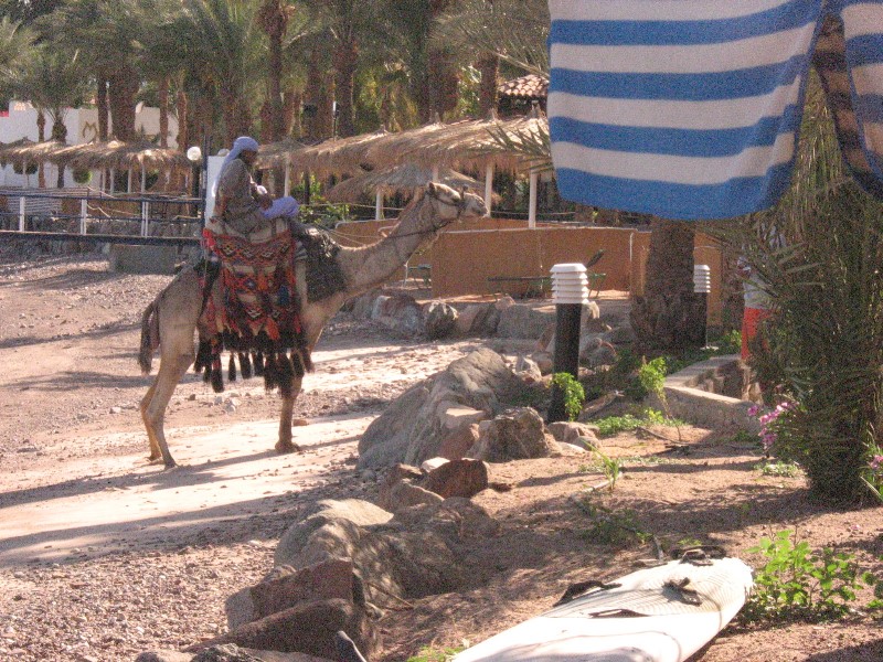 ../Images/Israel_Day4 156.jpg